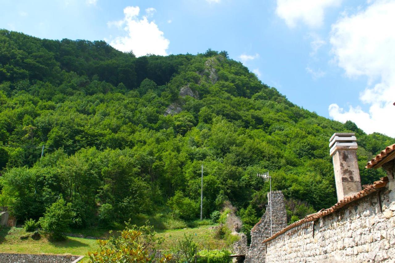 Porta Della Muda Apartment Vittorio Veneto